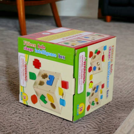 Fifteen Hole shape intilligence box For kids